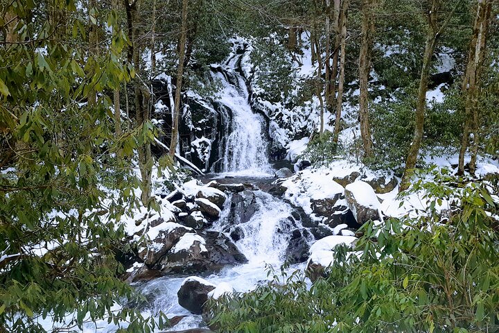 Best of the Smokies : Aventura guiada privada de día completo