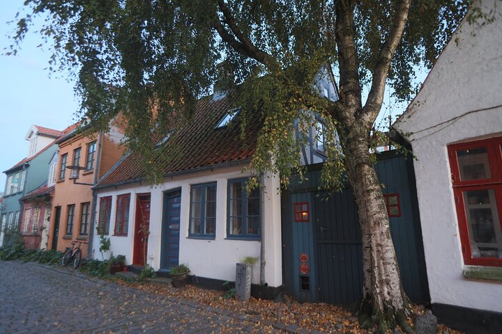 Tour a pie por Aarhus: Viajes de Viking Village a Metrópolis