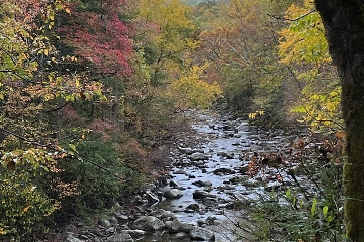 The River Remembers : Une promenade historique en montagne enfumée