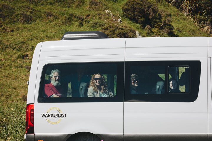 Seal Coast Safari - Exclusieve toegang tot Wellington's geheime kust