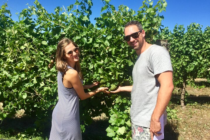 Margaret River Beer & Wine Adventure (sale del río Margaret)