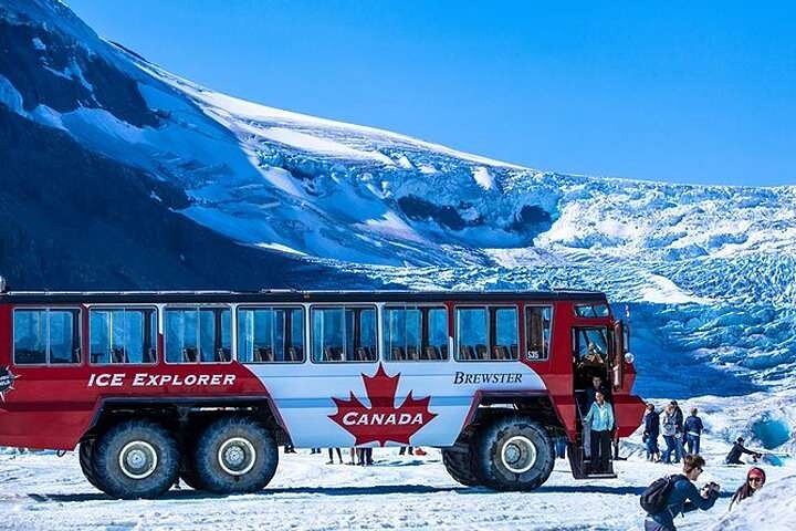Calgary: Columbia Icefield Adventure, Skywalk en Peyto Lake Tour