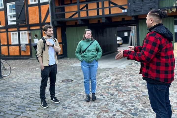 Tour a pie por Aarhus: Viajes de Viking Village a Metrópolis