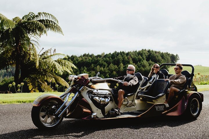 TAURANGA SHORE EXCURSION : V8 TRIKE - 1,5 timers by eller naturskjønne tur