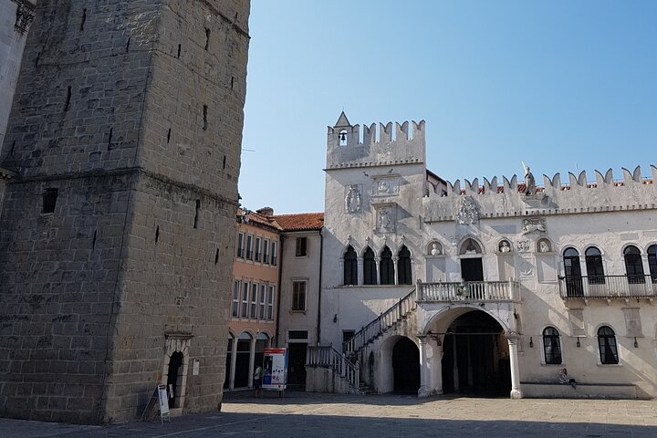 Piran og den naturskjønne slovenske kysten - Privat tur fra Trieste