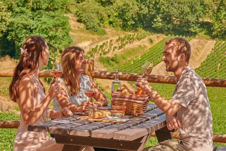 Saint-Emilion Grand Cru Classé: Pique-nique & Visite en anglais