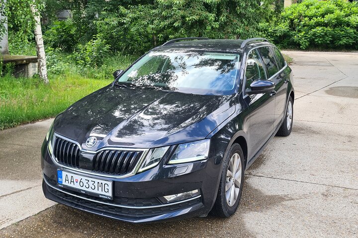 PrivaeTransfer fra Wien til Salzburg med sightseeing stopp