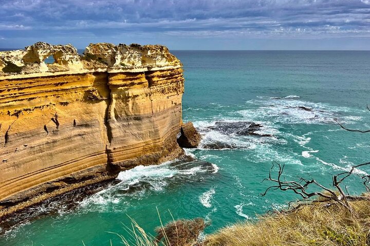 Great Ocean Road Eco Tour en petit groupe au départ de Melbourne