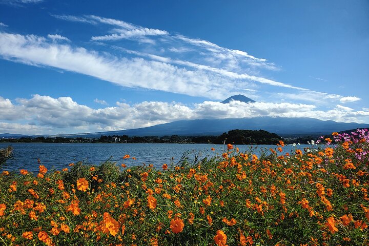 Visite privée d'une journée au mont Fuji au départ de Yokohama Personnalisable
