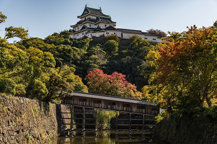 Visite historique de la ville de Wakayama