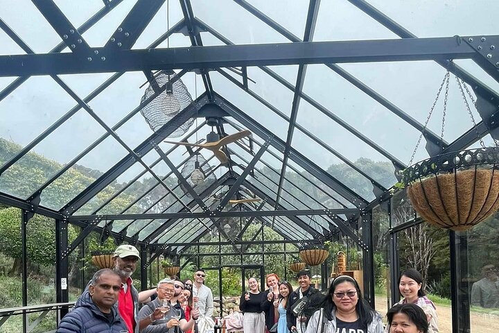 Auckland : Waiheke Island Scenic Tour 4 vingårder, lokale guider