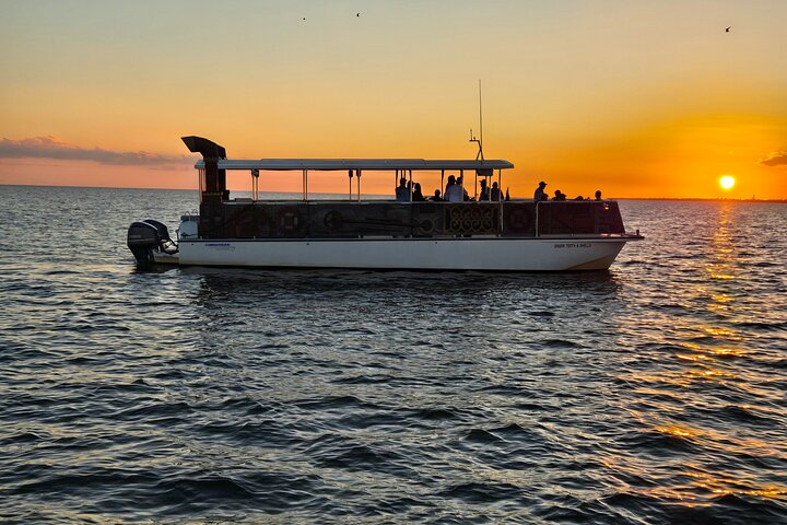Hoteller i nærheden af Fort Myers Beach Sunset and Dolphin Watching Cruise