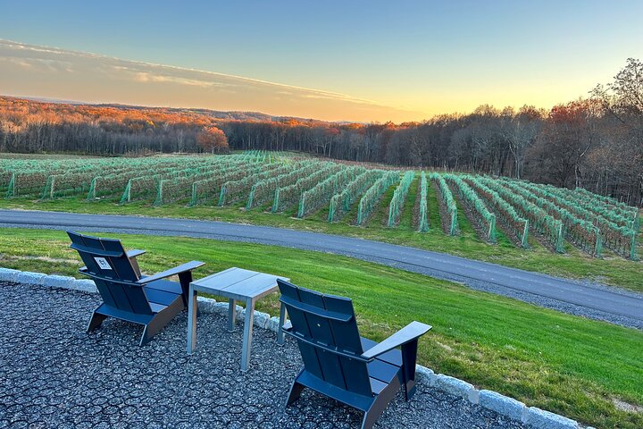 Hudson Valley Wineries - Transporte privado - O cervecería/destilería