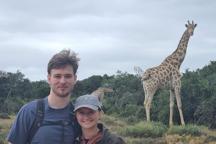 Réserve de chasse Schotia d'une journée et promenade des girafes (véhicule 4x4 ouvert)