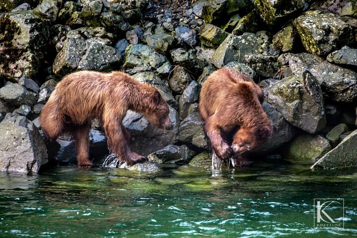 4 Stunden Chilkoot Lake Natur- und Tierbeobachtung