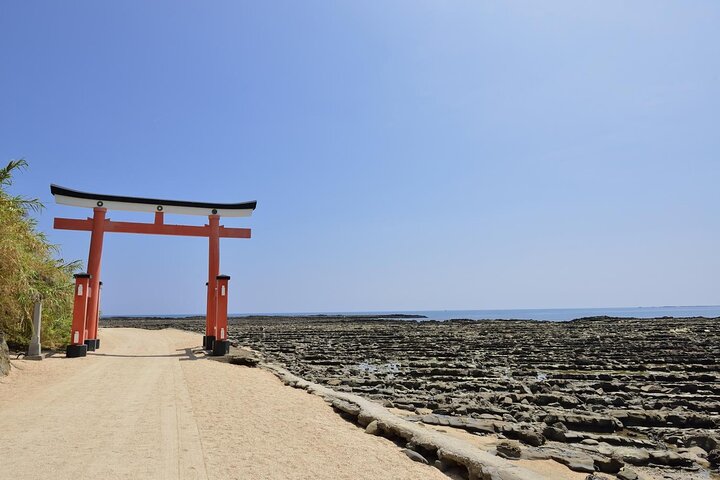 Vanuit Aburatsu Port : 1 dag privétour naar Miyazaki Nichinan
