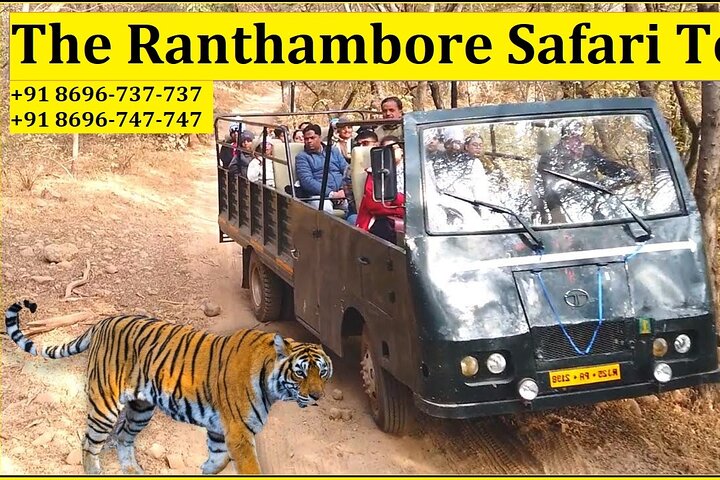 Ranthambore National Park 20 zitplaatsen Canter Safari boeken