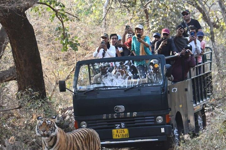 Ranthambore National Park 20 zitplaatsen Canter Safari boeken