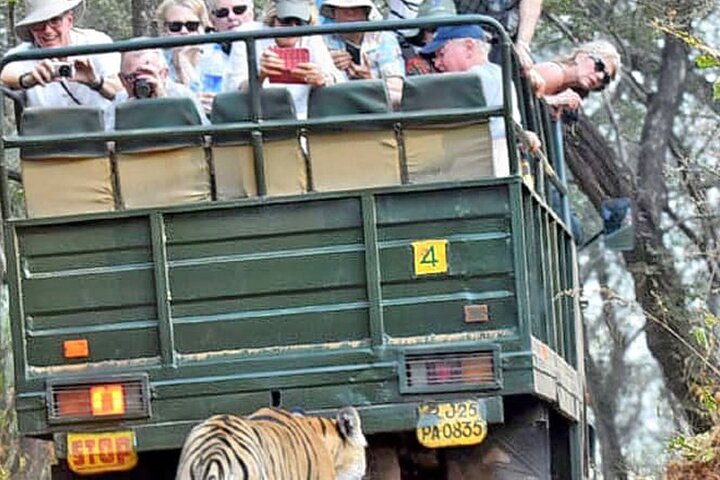 Ranthambore National Park 20 zitplaatsen Canter Safari boeken