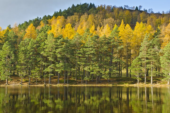 Speyside Whisky Small Group Tour fra Aviemore med indgangsbillet