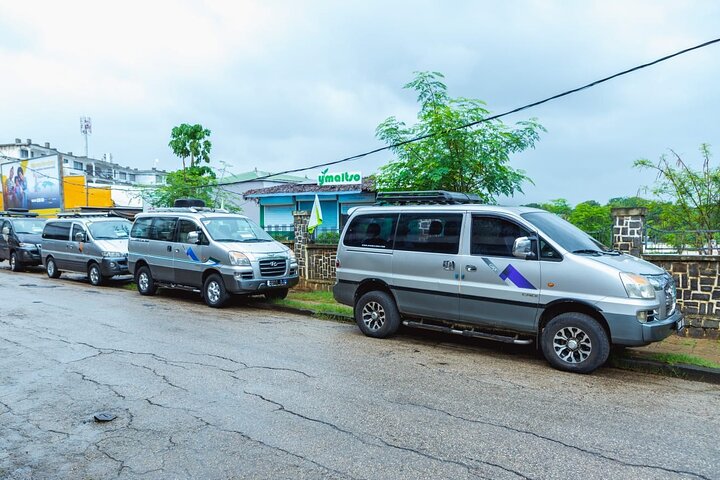 Morondava Tour : 3-daagse tour naar Tsingy of Bemaraha & Baobab avenue