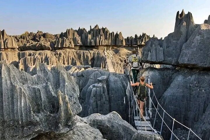 Morondava Tour : 3-daagse tour naar Tsingy of Bemaraha & Baobab avenue