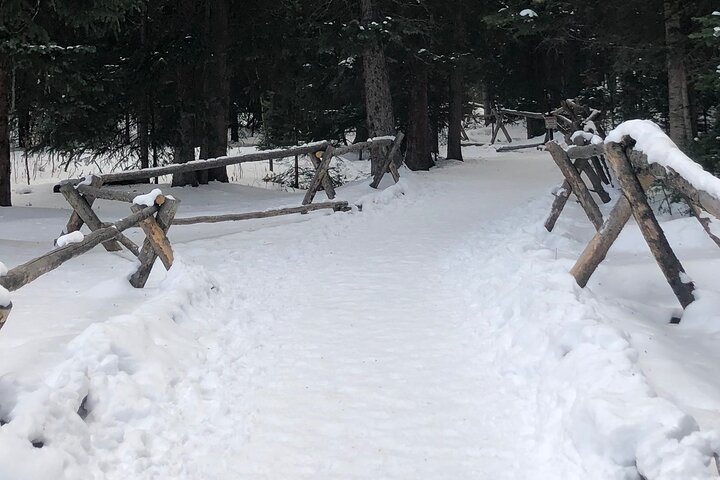 Ridden - Höstfärgade Ebike-guidad tur i Breckenridge