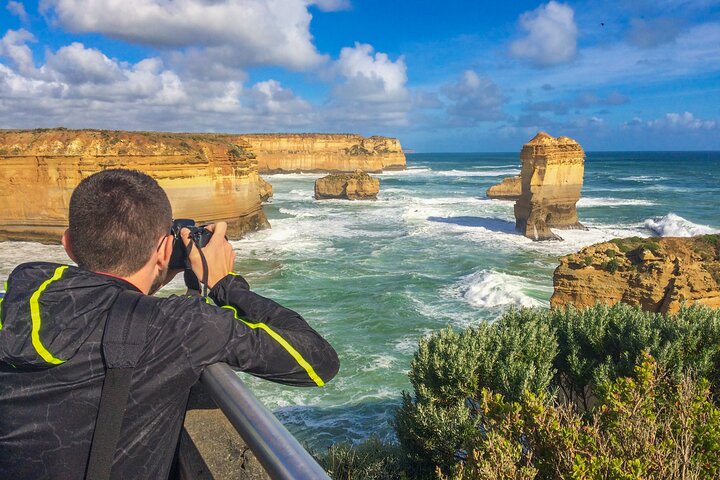 Great Ocean Road Eco Tour en petit groupe au départ de Melbourne
