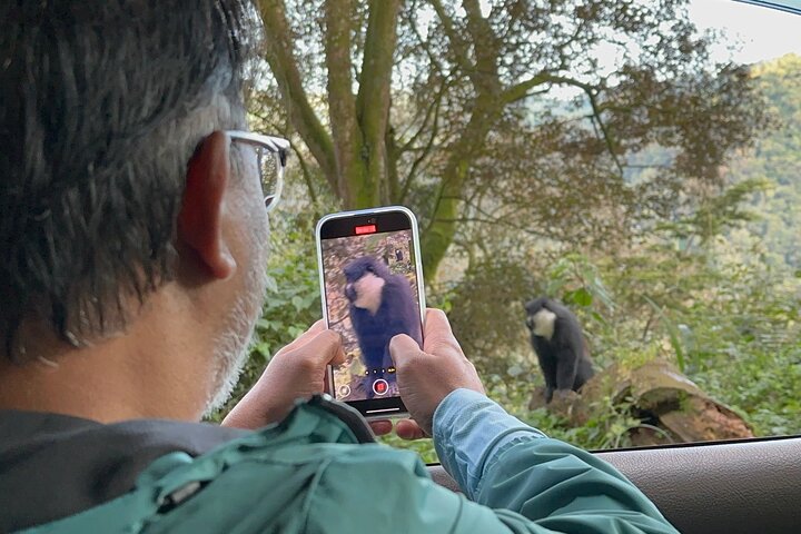 Gorilla Trekking di 1 giorno Mgahinga Gorilla NP e Lago Bunyonyi