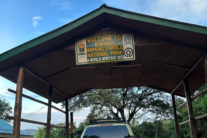 Gorilla Trekking di 1 giorno Mgahinga Gorilla NP e Lago Bunyonyi