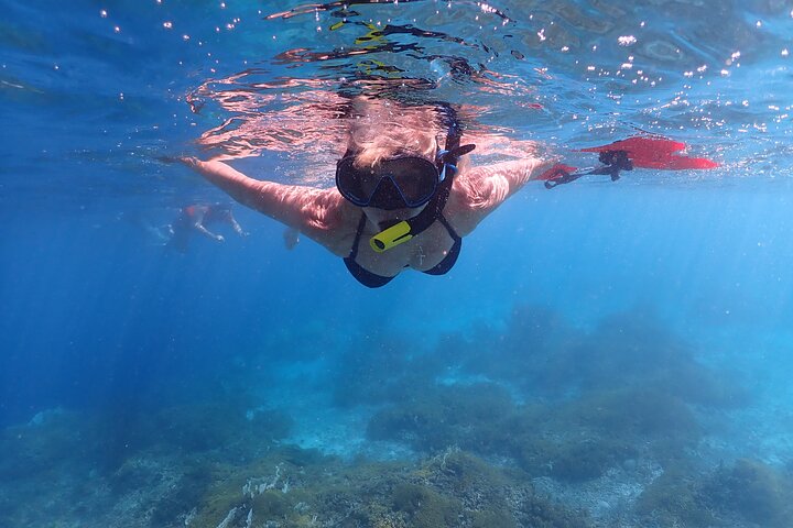Klein Bonaire Marine Park Snorkeling Excursion small groups