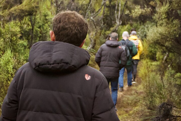 Karta över Stewart Island Hotell som tillåter djur