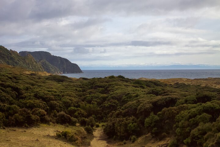 Karta över Stewart Island Hotell som tillåter djur