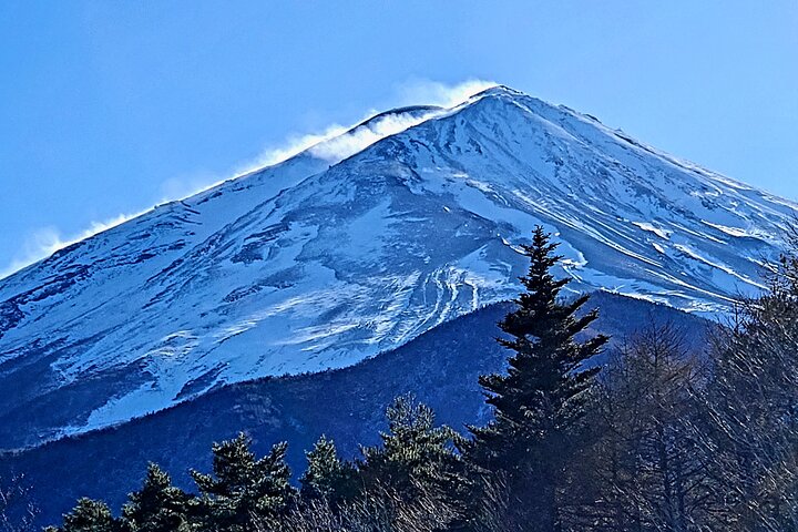 Visite privée d'une journée au mont Fuji au départ de Yokohama Personnalisable