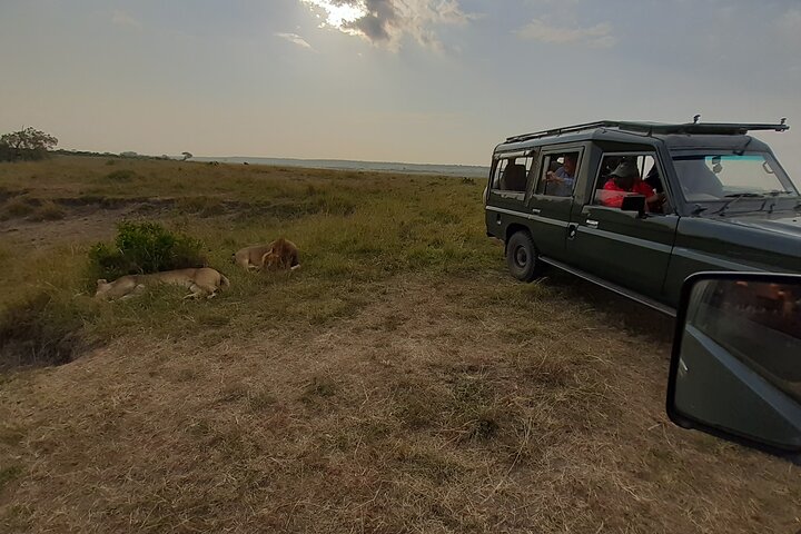 Tour privato di safari in game drive nel Maasai Mara