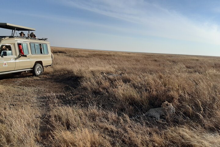 Tour privato di safari in game drive nel Maasai Mara