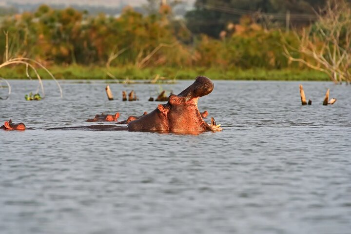 Dagstur till Hell's Gate National Park och Lake Naivasha