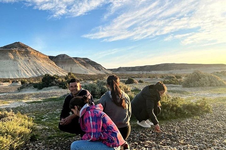 Escursione Circuito Sud - Il meglio di Puerto Madryn per le CROCIERE