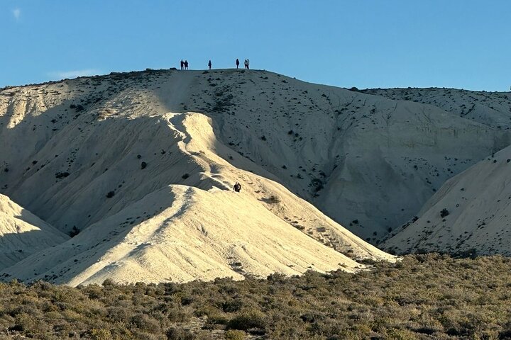 Escursione Circuito Sud - Il meglio di Puerto Madryn per le CROCIERE