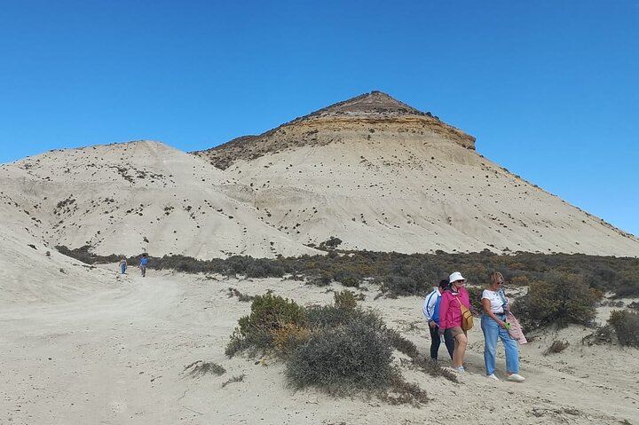 Escursione Circuito Sud - Il meglio di Puerto Madryn per le CROCIERE