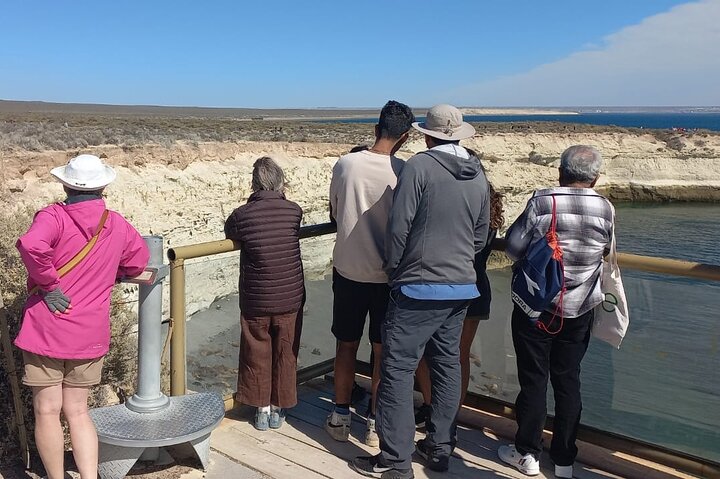 Escursione Circuito Sud - Il meglio di Puerto Madryn per le CROCIERE