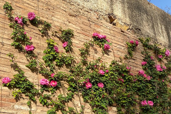 Private Tour zur Alhambra in Granada vom Hafen von Motril