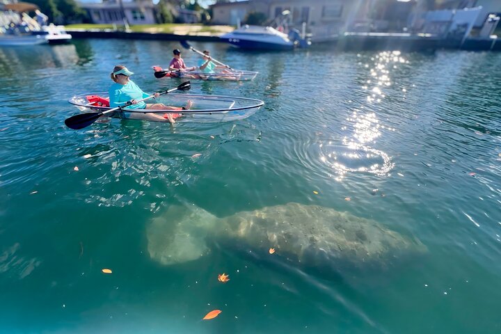 Restauranter i nærheten av Crystal River: Three Sisters Manatee Clear Kayak Tour