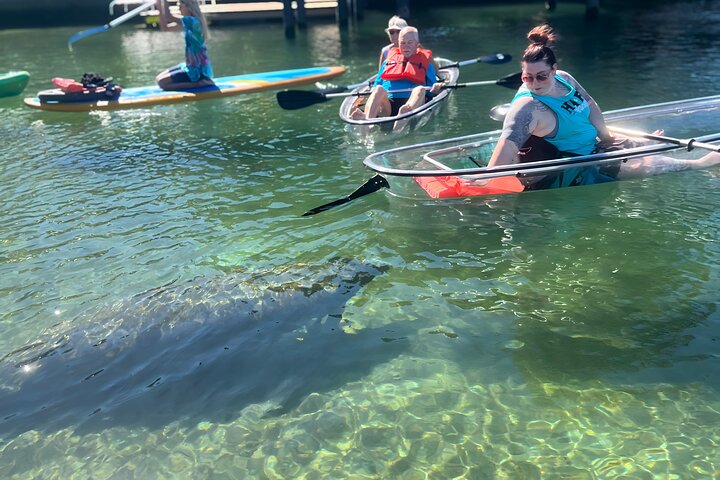 Restauranter i nærheten av Crystal River: Three Sisters Manatee Clear Kayak Tour