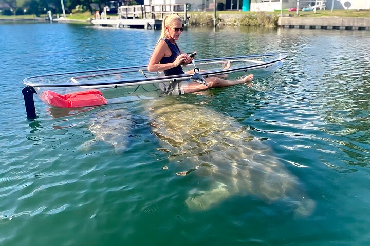 Restauranter i nærheten av Crystal River: Three Sisters Manatee Clear Kayak Tour