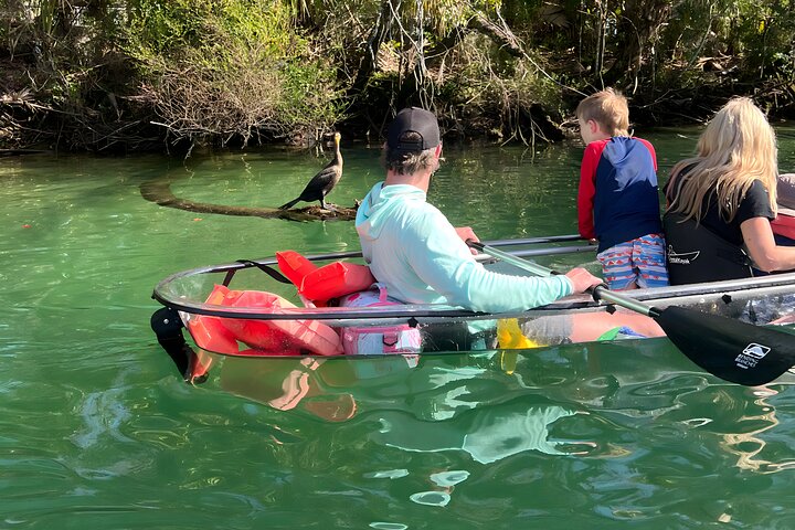Restauranter i nærheten av Crystal River: Three Sisters Manatee Clear Kayak Tour
