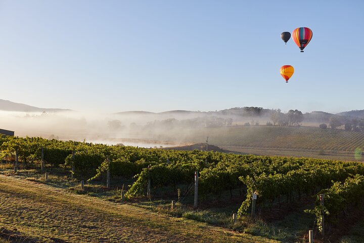Fra Melbourne: Hop On Hop Off Yarra Valley - RØD rute