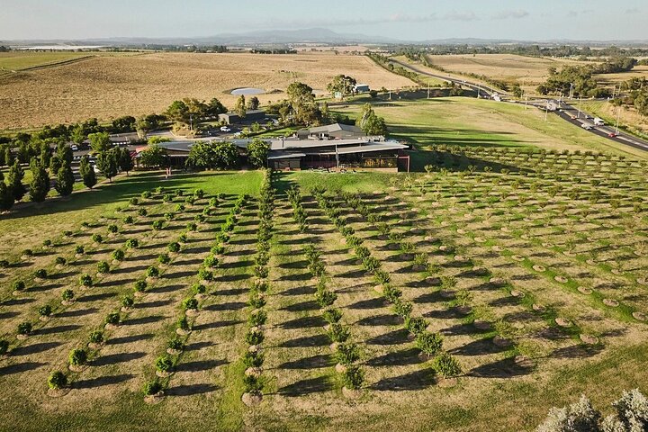 Fra Melbourne: Hop On Hop Off Yarra Valley - GRØNN rute