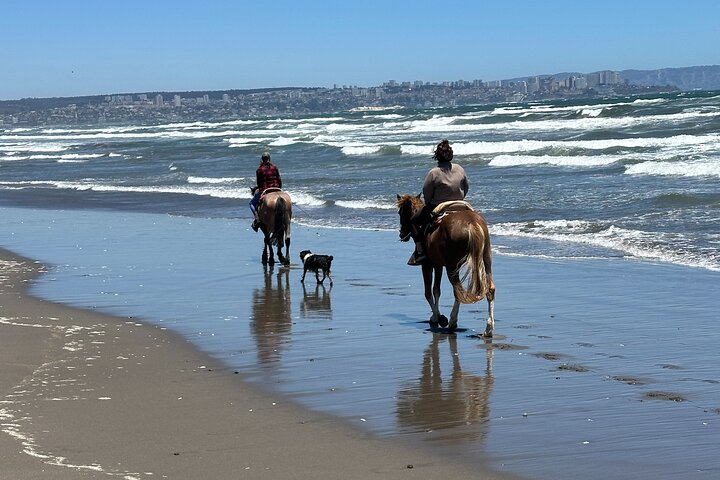 Randonnée à pied et à cheval sur la plage de Mauco Hill De VALPARAISO