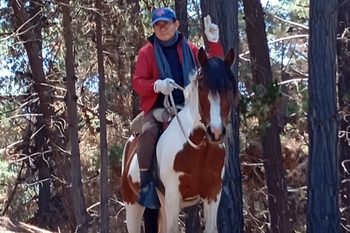 Randonnée à pied et à cheval sur la plage de Mauco Hill De VALPARAISO